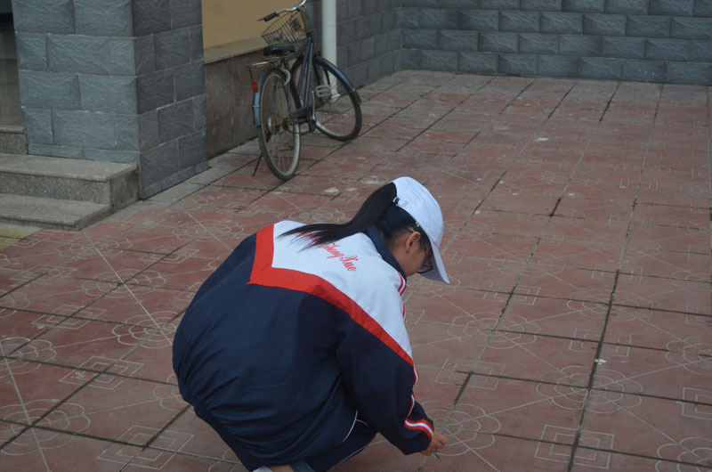 校园活动剪影（二）106.jpg
